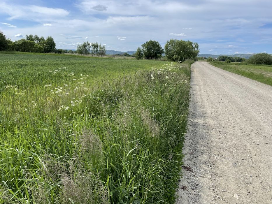 Teren extarvilan sat Hurez , 4200mp