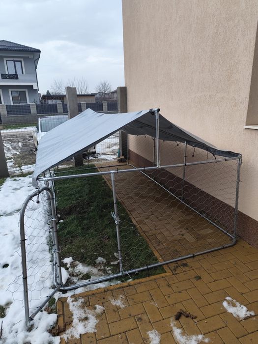 Padoc caine talie mare-600 lei