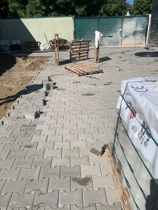 Echipa profesionisti montaj pavaj