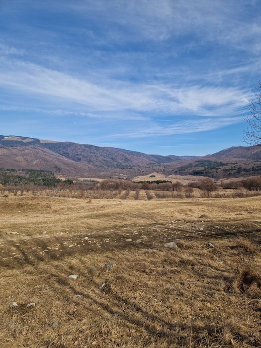 Vand teren intravilan - Nucsoara