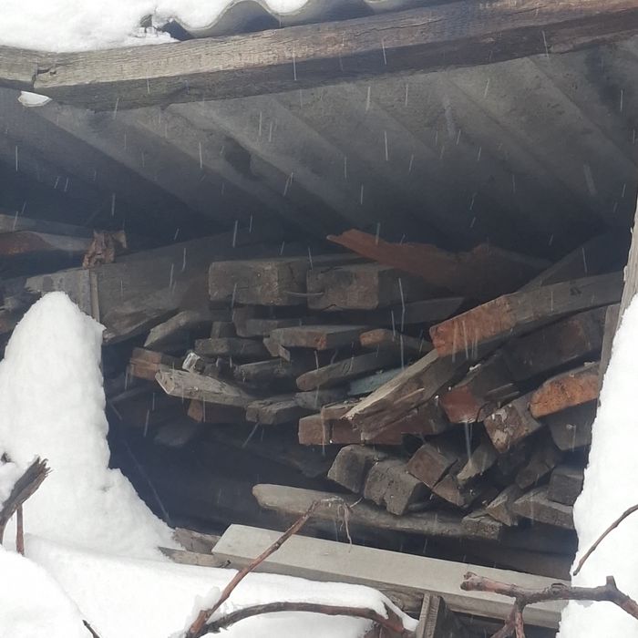 Продаю дрова , дешево.