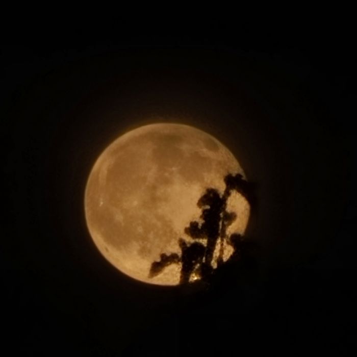 Samsung not 20 ultira 5g