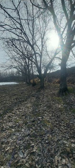 30 yillik kafolati bor