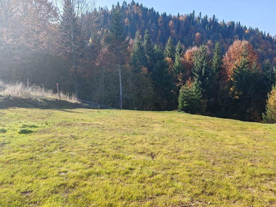 Teren intravilan Colibița 7 arii panoramă lac