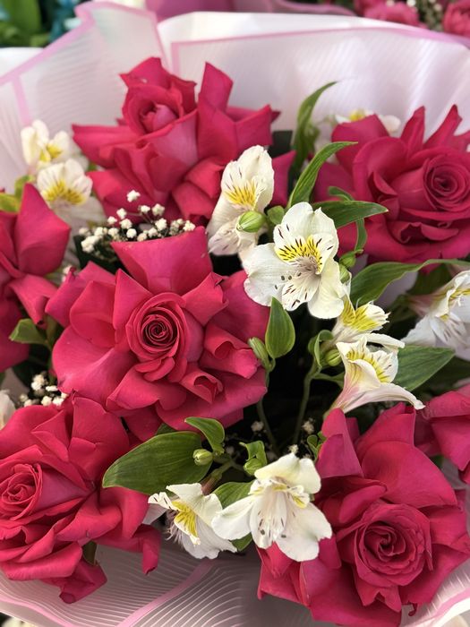 Гулдер кеше берген