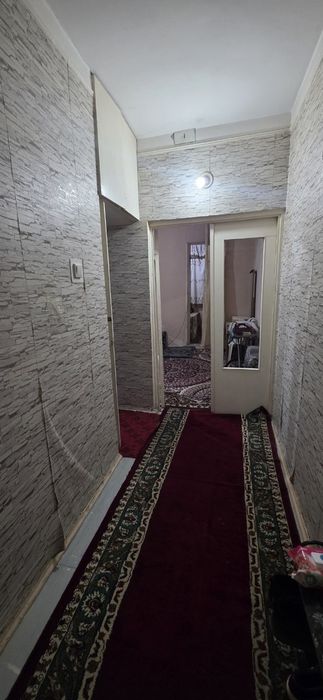 Чилонзор алгоритм мухлиса оркасида