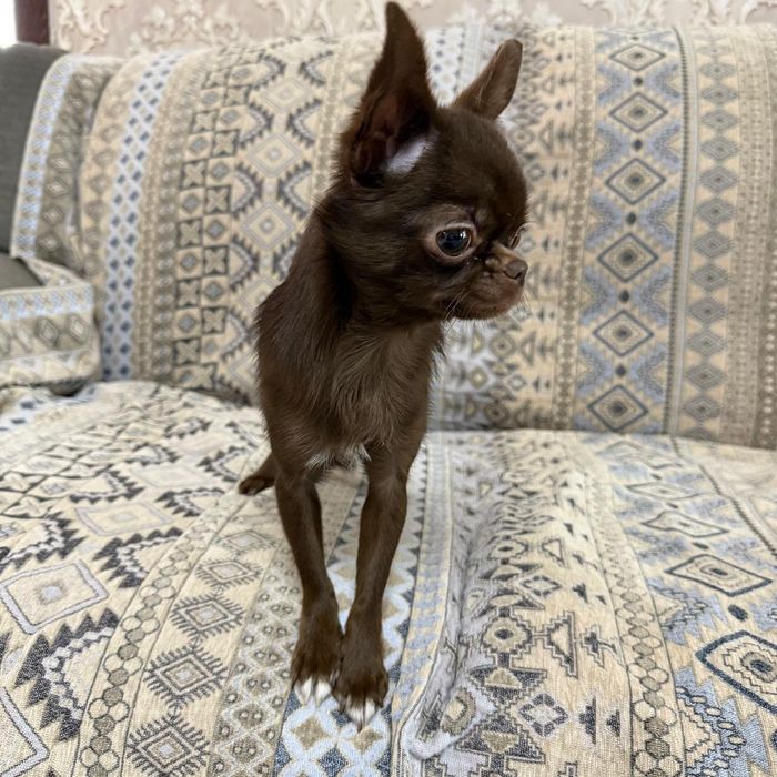 Суперский дружок!