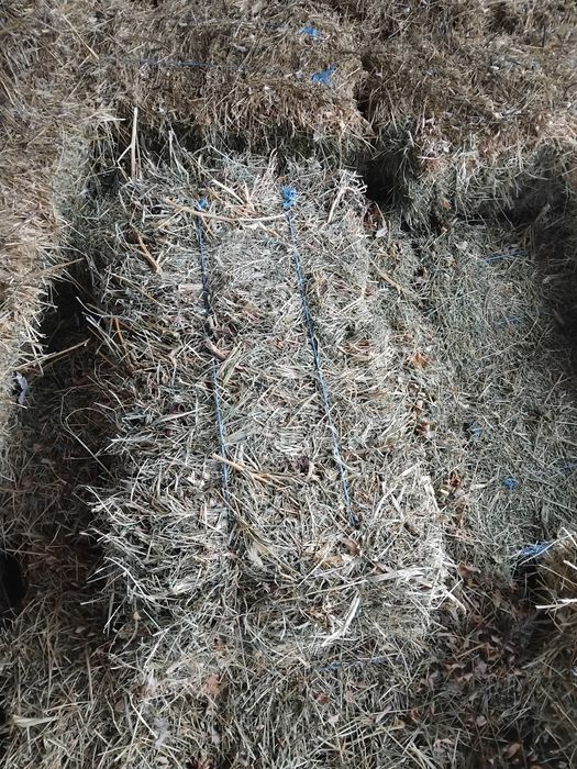 Vând Baloți Pătrați De Lucernă