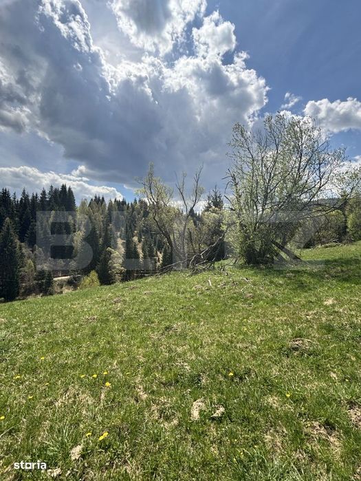 Teren in Vatra Dornei, str Rosu, 8450 mp, extravilan + intravilan