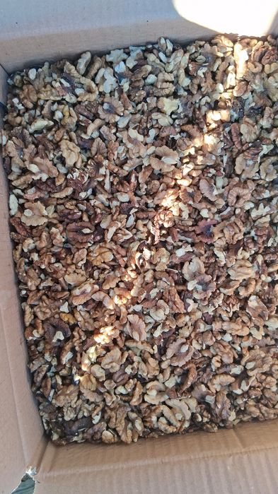 Miez de nuca pentru tocat