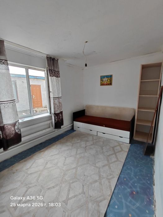 Времянка на Шанхае