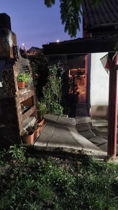 Casa +spatiu comercial Babadag, TL