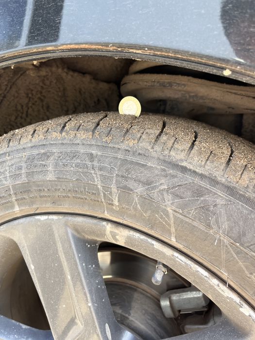 Шины 215/55 r17 sportex