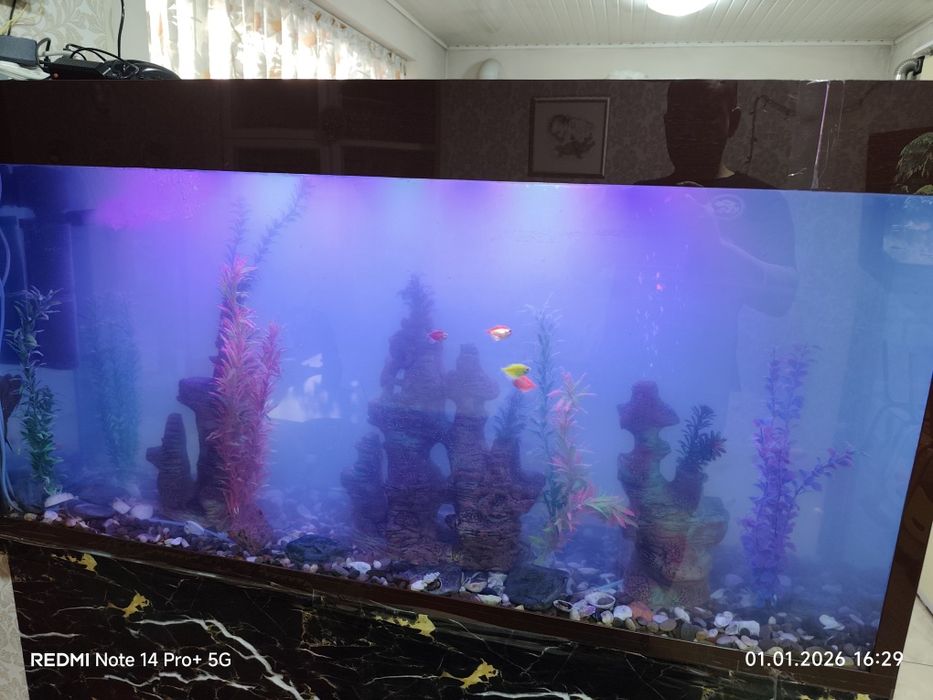 Чистка аквариума