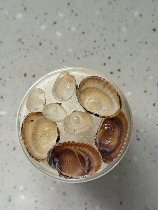 Свеча “Морской бриз”