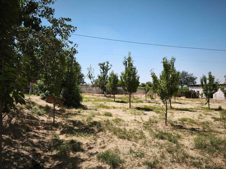 Yu  Фермерское хозяйство 20 соток колхоз Туркистон, Назарбек