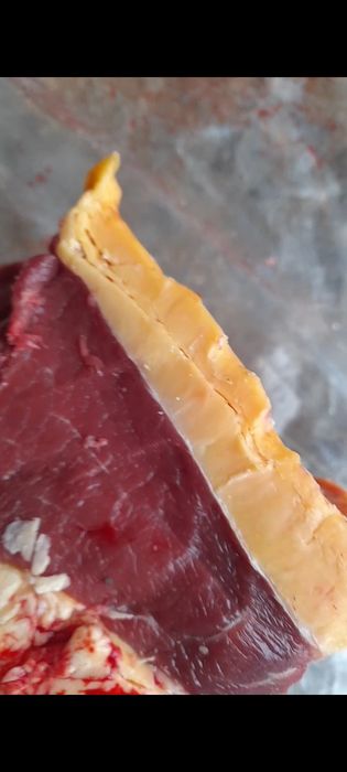 Продаются мясо говядины