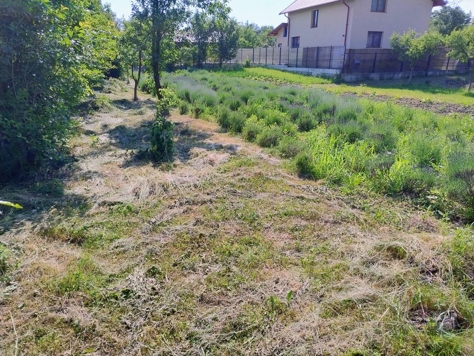Teren în Vălenii de Munte