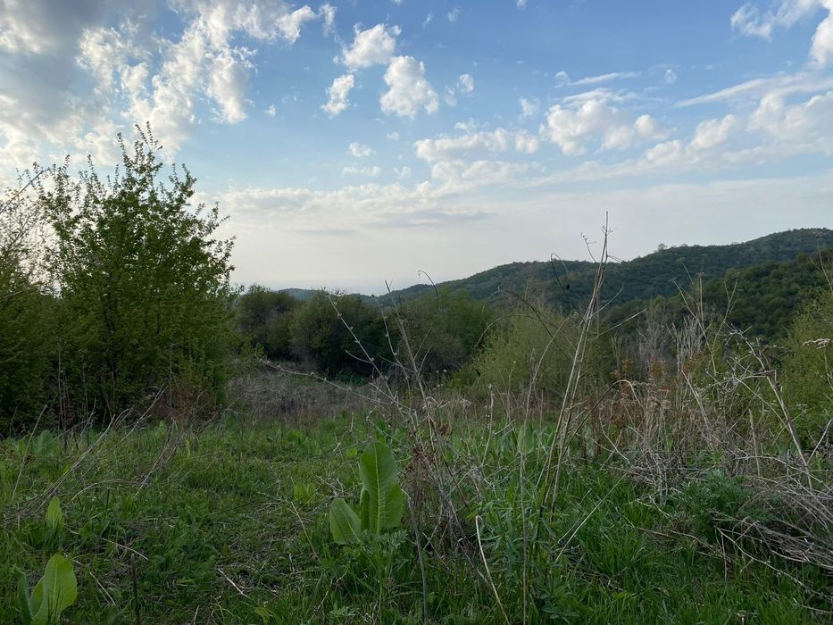 Продам участок 1Га.