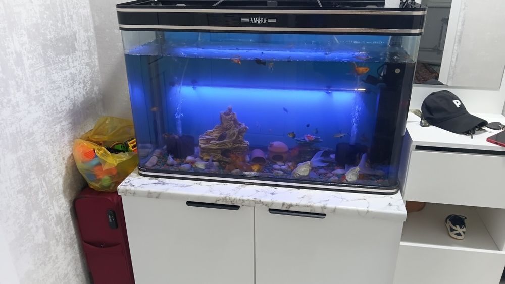 Аквариум полностью