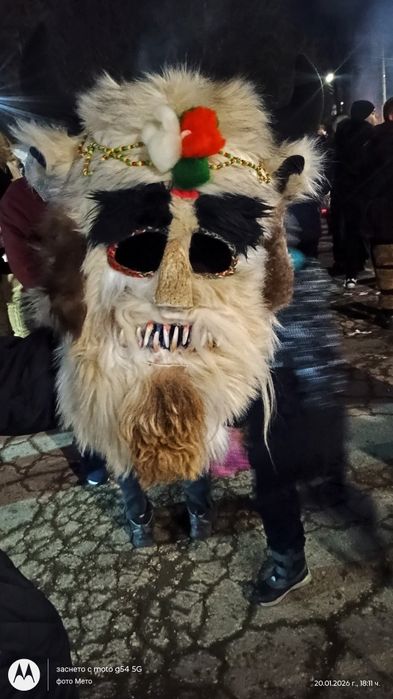 Оплодени яйца от пъдпъдъци