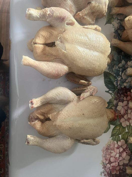 Продам   бройлер