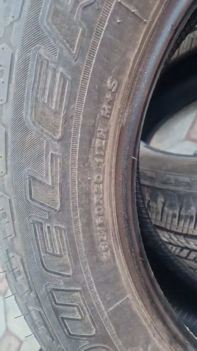 Шины Bridgestone R20