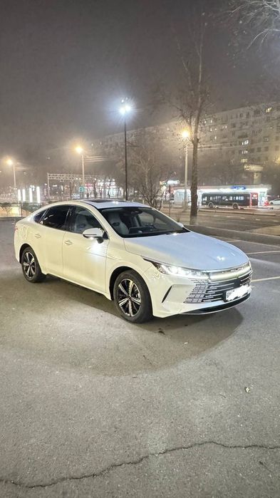 Byd chazor 120tali 2023 masla