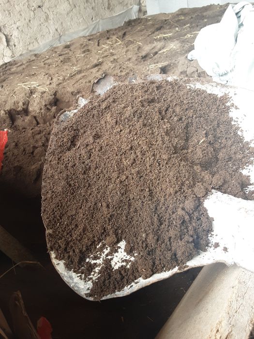 Биогумс 50 тенге литр