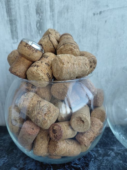 Продам  вазы -флорариумы.