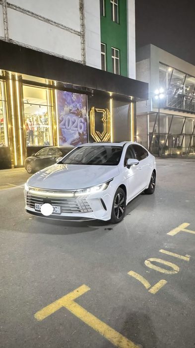 Byd chazor 120tali 2023 masla