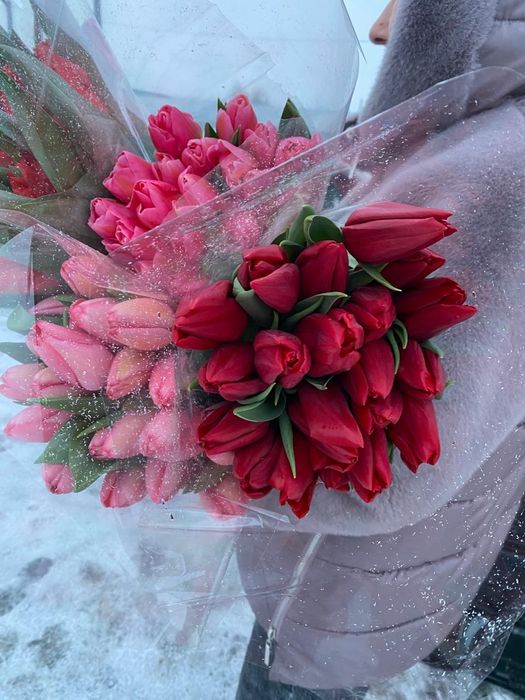 Тюльпаны очень красивые