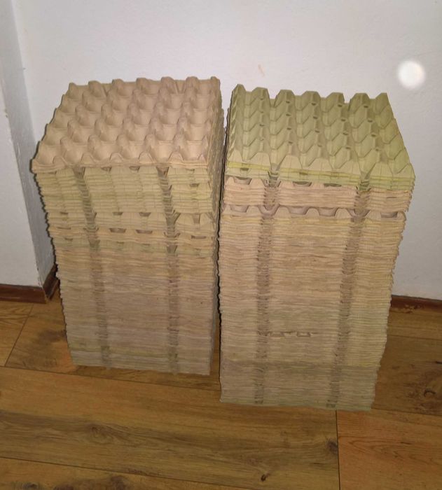 50 cofraje carton/30 oua