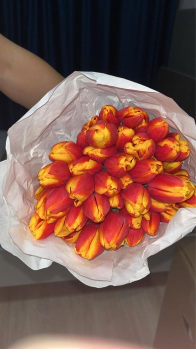 Премиальные тюльпаны