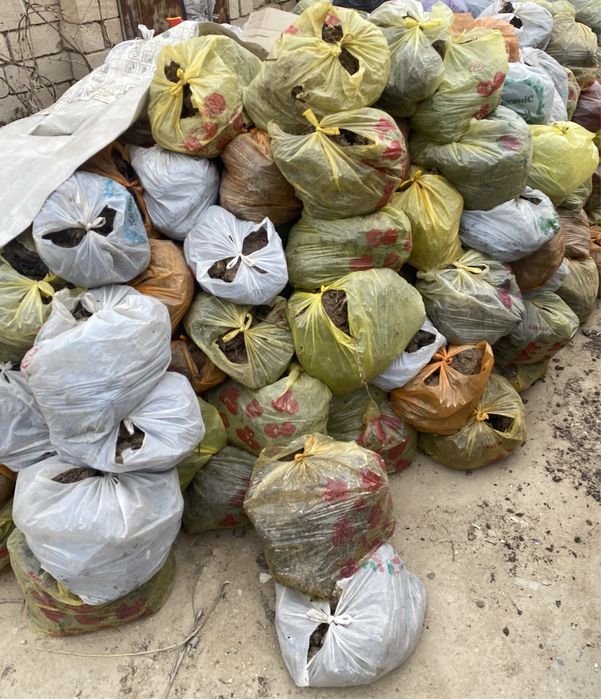 Сиыр тезегі, көң, навоз