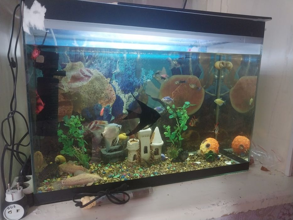 Продам Аквариум 100л