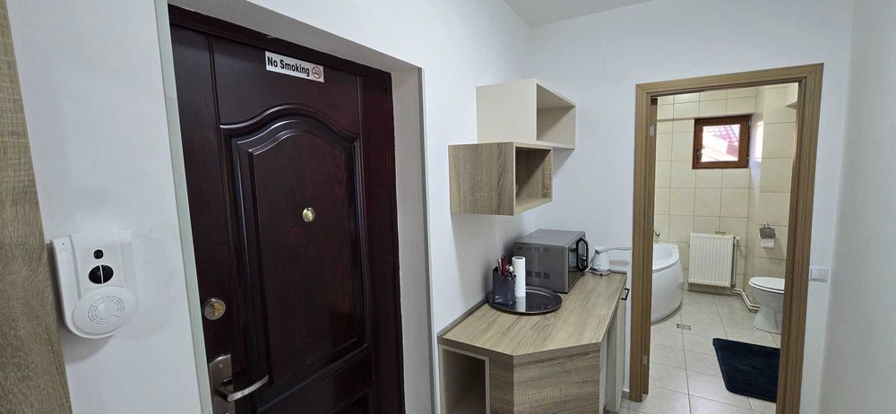 Studio de lux, Sinaia Furnica