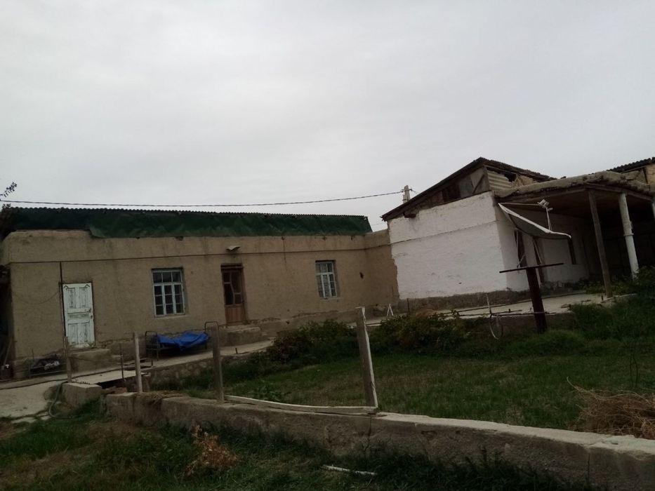 Когон туман чопик-1