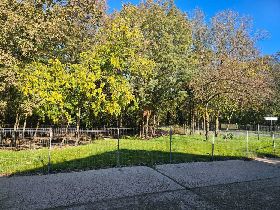 Teren JUPITER–str FERDINAND colț cu st CAROL-vedere la mare de la et 1