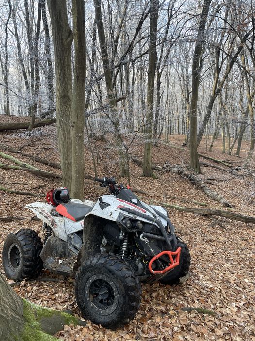 Can am renegade 1000R