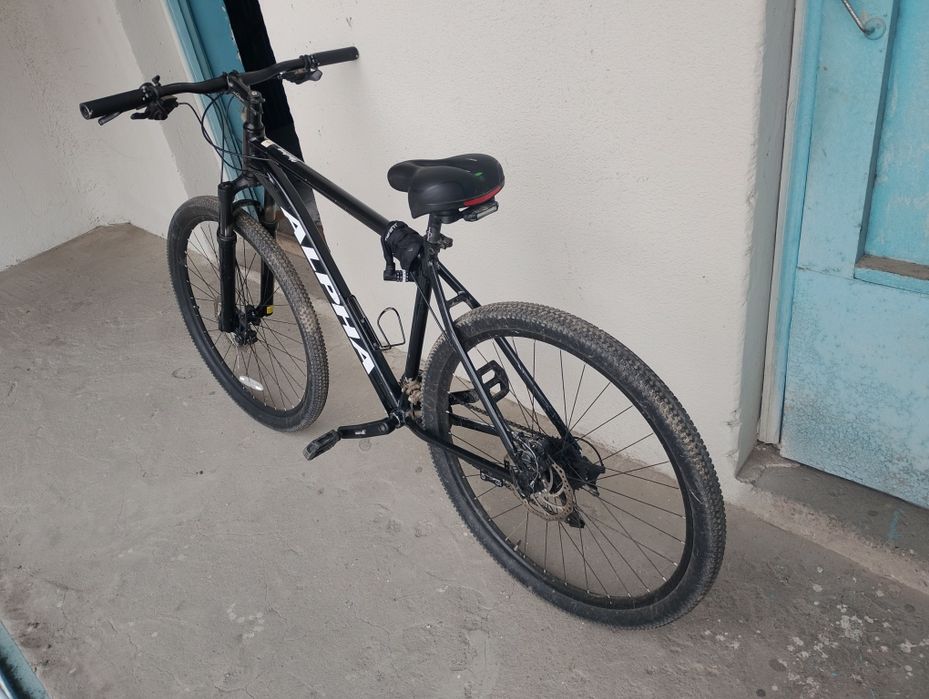 Mustang Alfa md велик