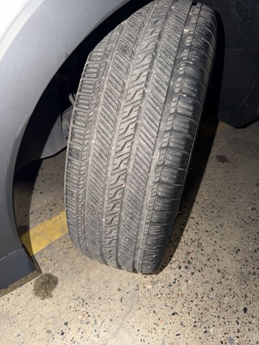 Byd champion restayling