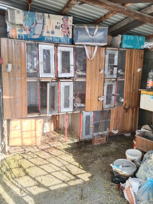 Продам кральчатник трех этажный 50000