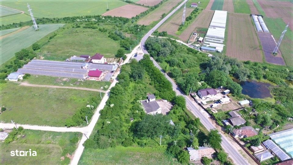 Teren 6000 mp cu hale și utilități, de închiriat în Vidra, Ilfov