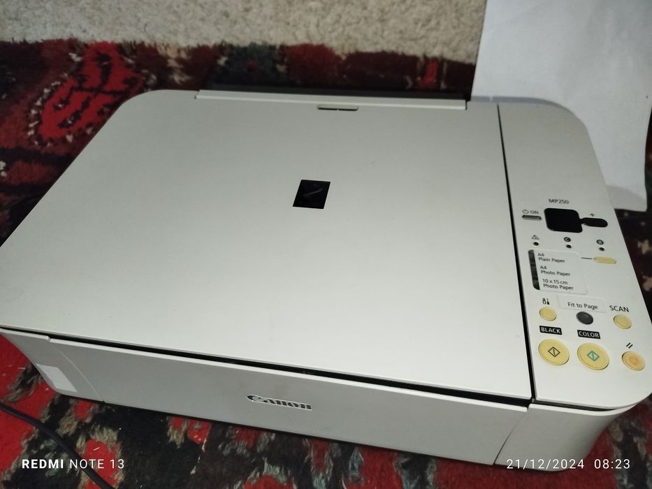 Printr Canon MP250