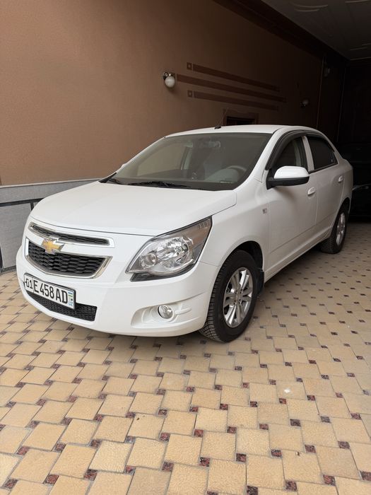 Cobalt style 2025-yil