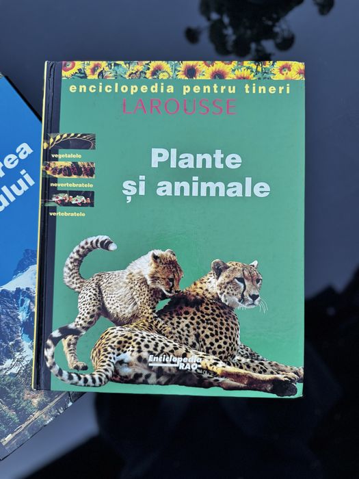 Enciclopedia pentru tineri SET