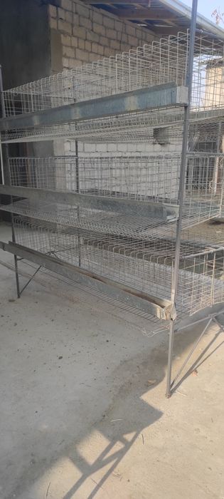 Клети для кур несушек