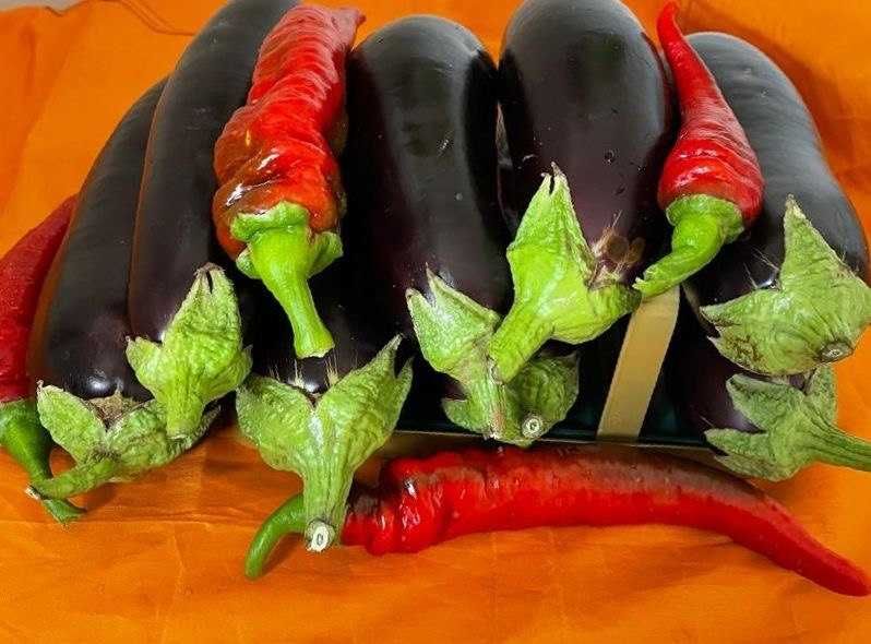 Перец горький домашний