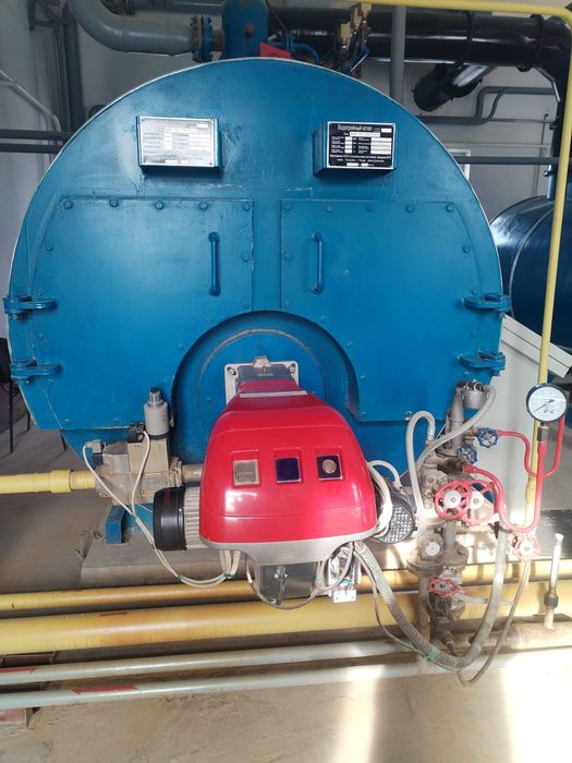 Ремонт промышленный паровой и водагрейный котлов.